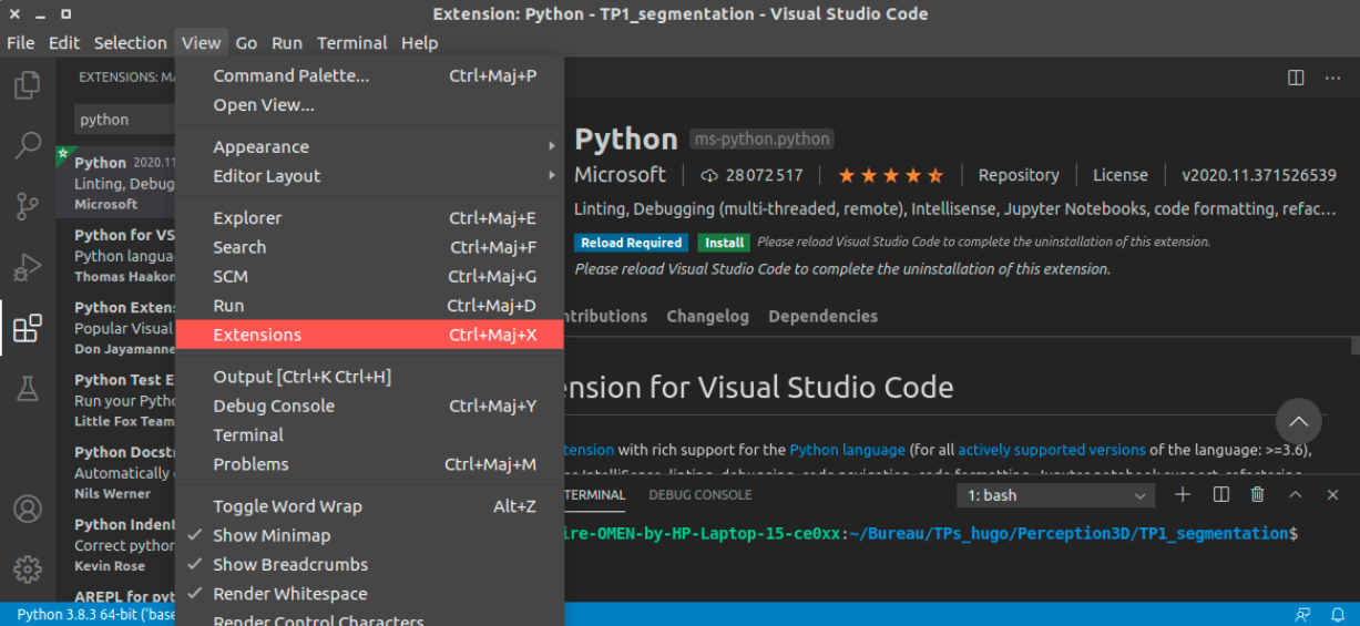 Python extension install